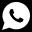 Whatsapp icon